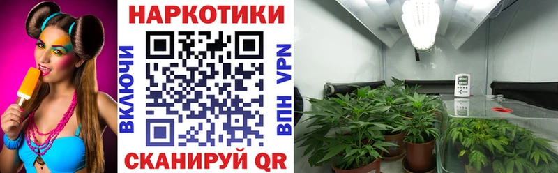 МЕФ Северск