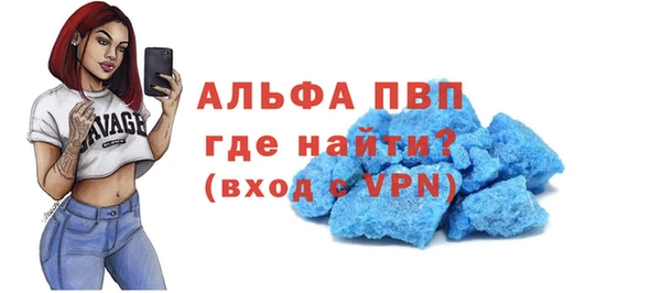 хмурый Вяземский