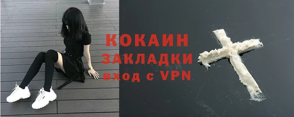 PSILOCYBIN Вязники