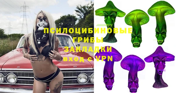 PSILOCYBIN Вязники