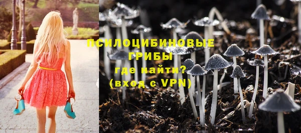 хмурый Вяземский