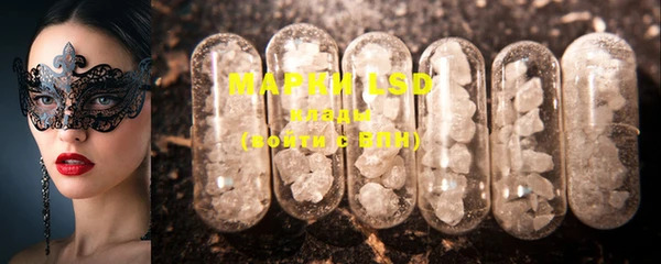PSILOCYBIN Вязники