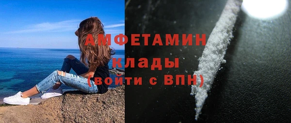PSILOCYBIN Вязники