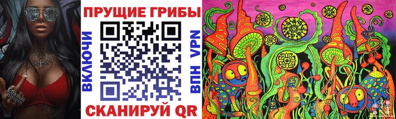 Галлюциногенные грибы MAGIC MUSHROOMS  наркота  Северск 