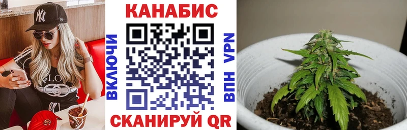МАРИХУАНА ГИДРОПОН  как найти наркотики  Северск 